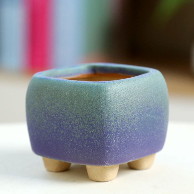Training Pot Ceramic - Mini Etli Saksı Seramik, Nefes Alabilir