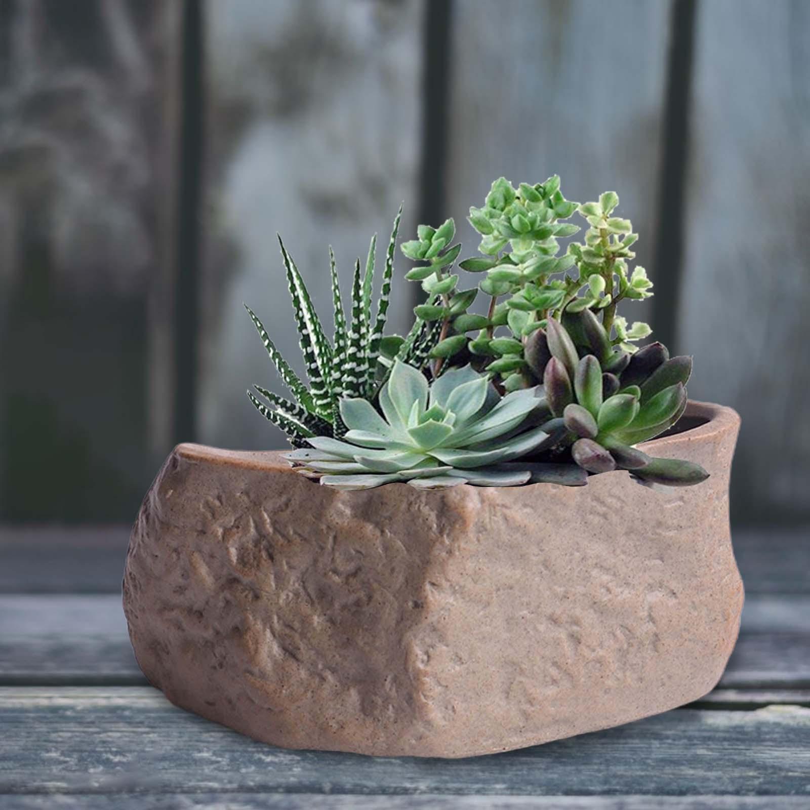 Training Pot Ceramic - Seramik Etli Bitki Saksısı Hafif Bonsai
