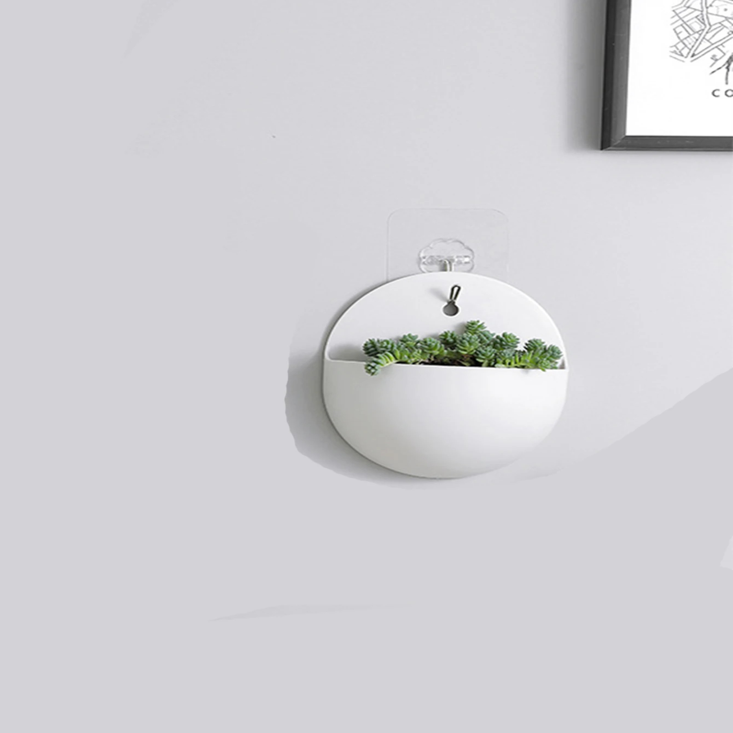 Duvara asılı bonsai yetiştiric - Bonsai Garden China incelemesi ve fiyatı