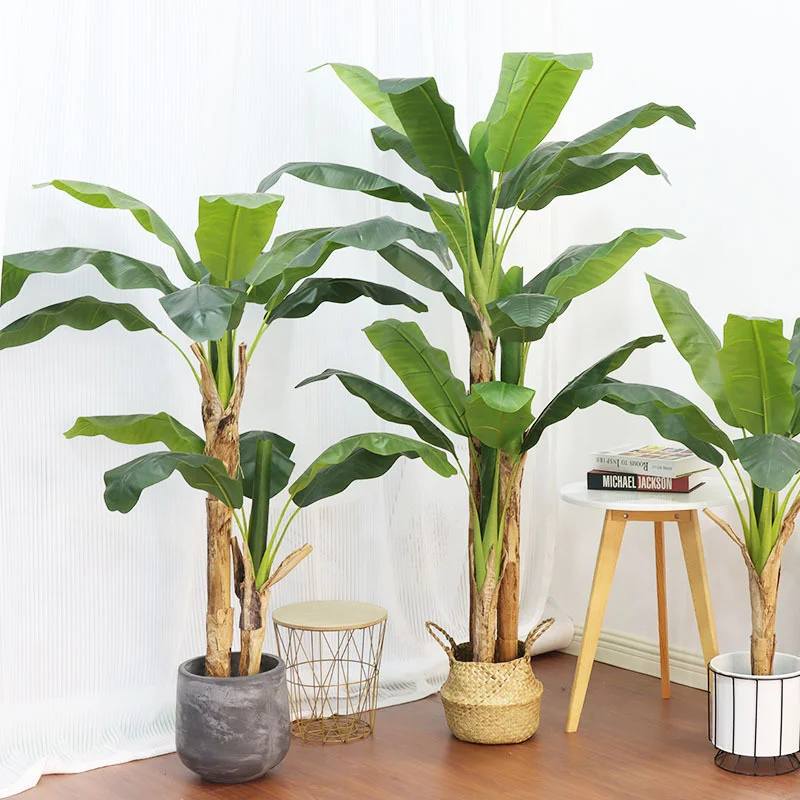 180cm/210cm Büyük Muz Ağacı Sa - Bonsai Garden Restaurant incelemesi ve fiyatı