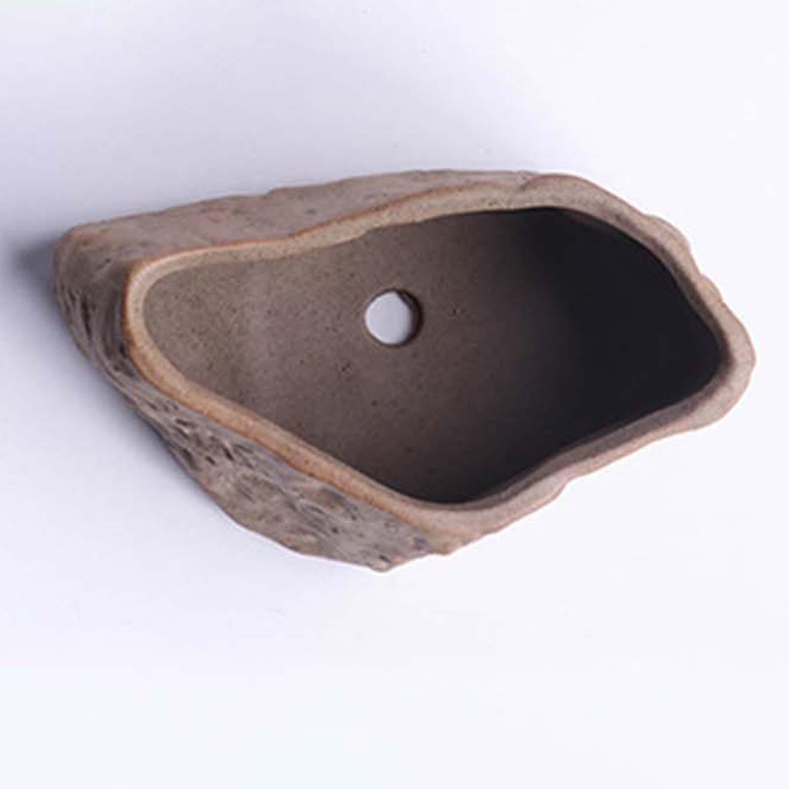 Seramik Etli Bitki Saksısı Haf - Training Pot Ceramic incelemesi ve fiyatı