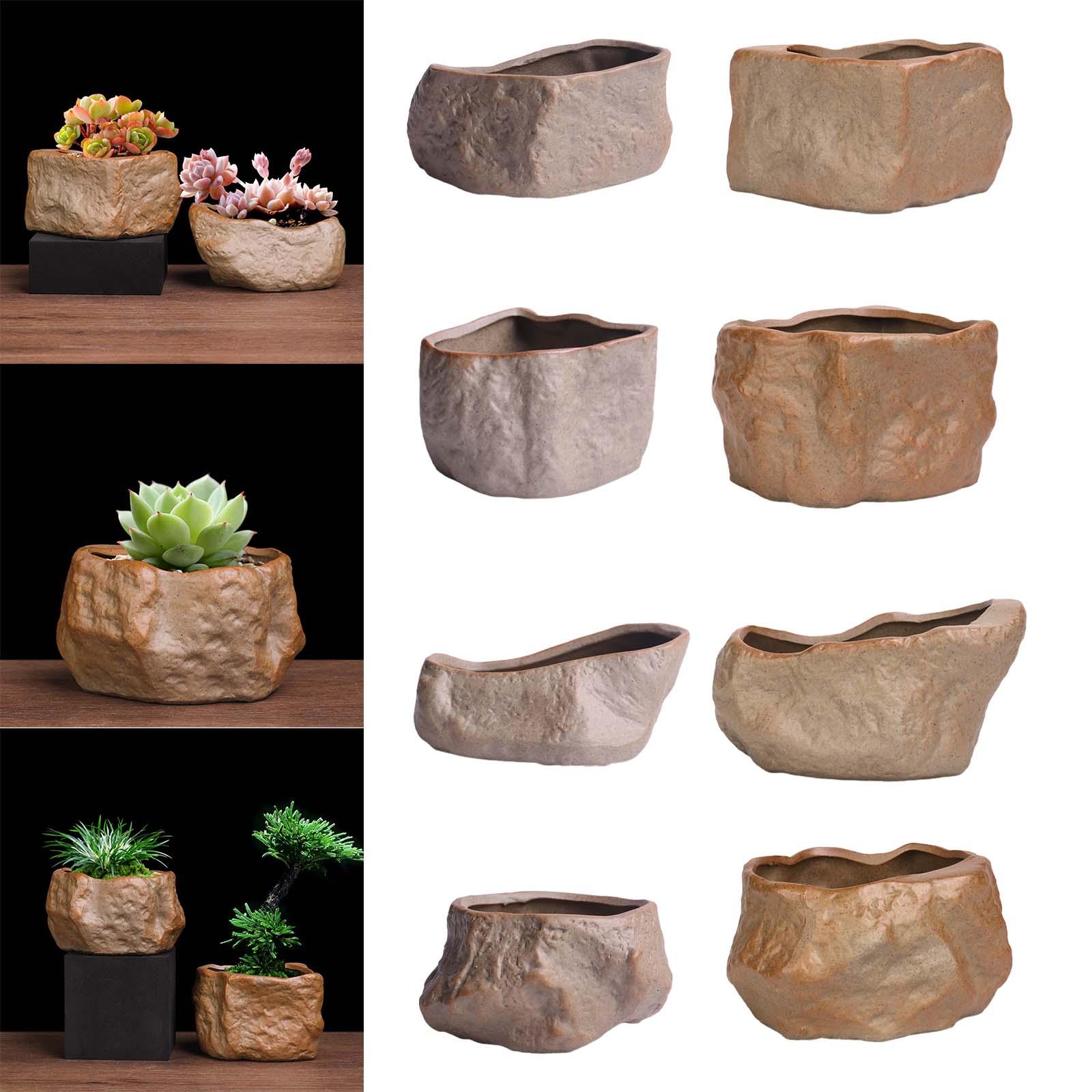 Seramik Etli Bitki Saksısı Haf - Training Pot Ceramic incelemesi ve fiyatı