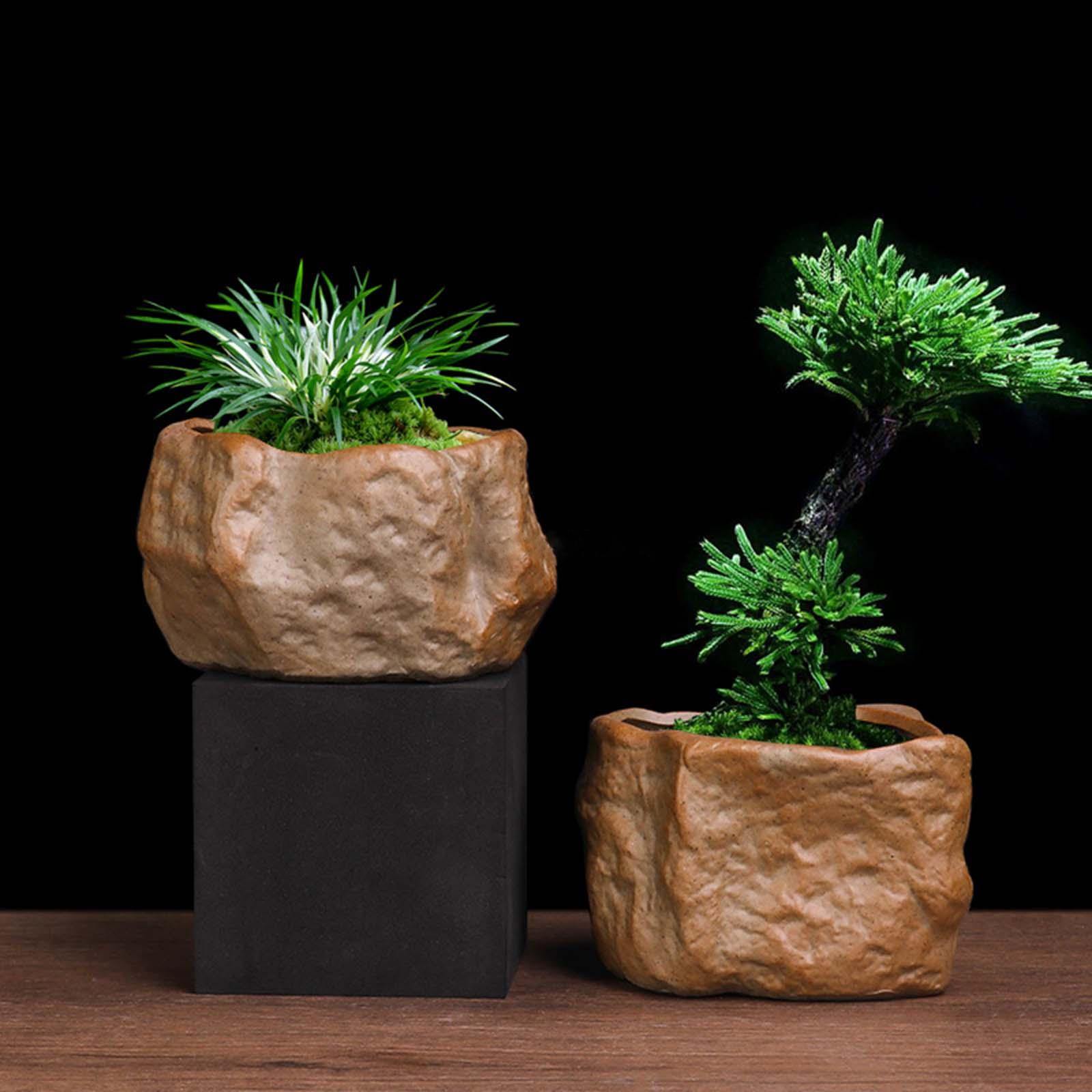 Seramik Etli Pot Taş Şekli Sağ - Training Pot Ceramic incelemesi ve fiyatı